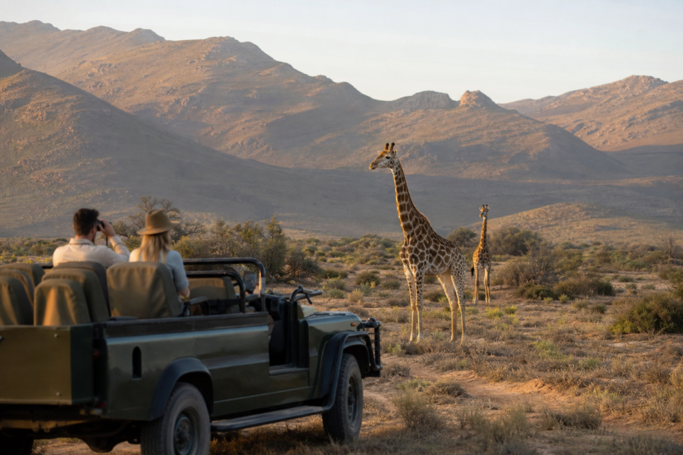 Safari într-o rezervație privată din Western Cape, aproape de Cape Town